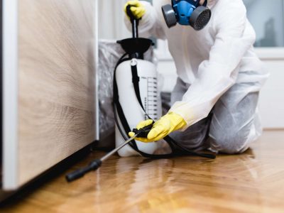 Pest-Control